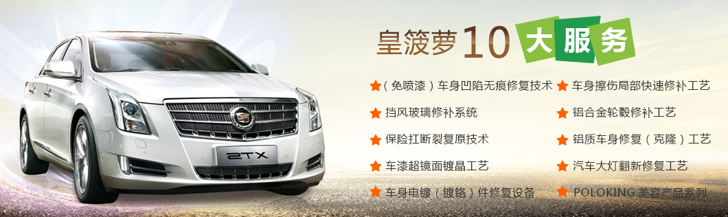 皇菠蘿十大技術服務